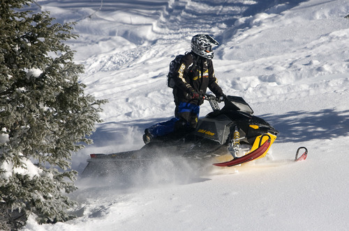 Al Hartmann  |  The Salt Lake Tribune 
Mark Menlove of Draper gets off the groomed trail and heads for the deep snow in the trees in the Mill Hollow Snowmobile Complex east of Woodland.