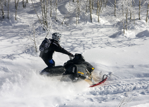 Al Hartmann  |  The Salt Lake Tribune 
Mark Menlove of Draper gets off the groomed trail and heads for the deep snow in the trees in the Mill Hollow Snowmobile Complex east of Woodland.