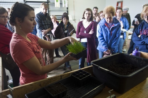Chris Detrick  |  The Salt Lake Tribune 
Sharon Leopardi demonstrates how to plant and transplant Tokyo white long onions during a class on seed selecting and starting at Mountain Valley Seed Company on Saturday, Feb. 5, 2011.