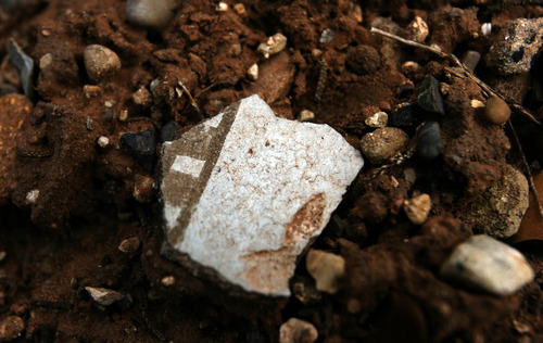 Leah Hogsten  |  The Salt Lake Tribune
Numerous pottery shards of the Pueblo III-period cliff dwellings created by the Anasazi or Ancestral Puebloan peoples between 1150 and 1300 A.D. dot the grounds throughout Recapture Canyon on Blanding's northern outskirts on Thursday, May 6, 2010. The U.S. Bureau of Land Management is considering a San Juan County  application for the right of way in Recapture Canyon. An ATV trail would give Blanding residents and visitors easier access to archaeological sites.