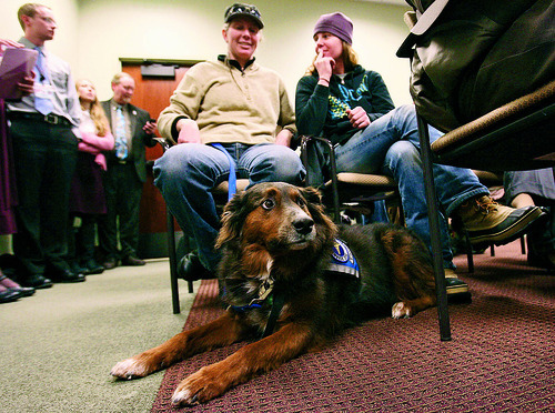 LEAH HOGSTEN | The Salt Lake Tribune
Service animal Sancho and his owner Maca Leontic, left, and friend Kate Culhane, right, appeared during the discussion of HB210 to oppose the measure. Sancho was found on the street when he was a puppy, rehabilitated and is now a service animal. 
The bill by Rep. Curt Oda, R-Clearfield, would have allowed people to kill feral animals. It was amended in committee.