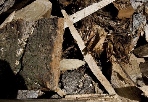 Djamila Grossman  |  The Salt Lake Tribune
Wood chips stack up as Wayne Sharp uses a chain saw to carve two owls in a tree stump in the front yard of a home in South Salt Lake. Sharp said his work also brings neighbors together who stand around and watch and then start a conversation.
