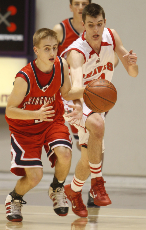 Rick Egan   |  The Salt Lake Tribune

Bountiful's Brit Harding steals the ball from Parker Brady, Springville, in 4A Championship basketball action,  Bountiful vs. Springville, at the Dee Event Center in Ogden, Thursday, March 3, 2011