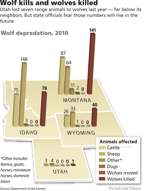 Utah breaks into annual wolfkill charts The Salt Lake Tribune