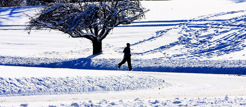 Steve Griffin  |  The Salt Lake Tribune
 
Mahmoud Ahmad, of Salt Lake City, makes his way through a snow covered Sugarhouse Park as he gets in his daily run. Ahmad said the running was great as the sun peaked through the clouds after a weekend snow storm dumped several inches of snow along the Wasatch front in Salt Lake City Monday, November 29, 2010.