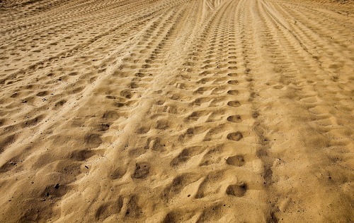 Djamila Grossman  |  The Salt Lake Tribune

Tire tracks are seen in the sand on the Fins & Things 4x4 trail near Moab on Saturday, Oct. 2, 2010.