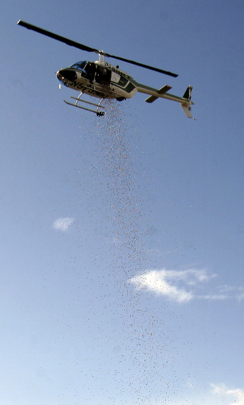 Rick Egan   |  The Salt Lake Tribune

A helicopter drops 20,000 bouncy balls into a parking lot on the Utah State Campus in Logan,  Monday, March 14, 2011. The BOuncy ball drop was parat of the Utah State University College of Science's 