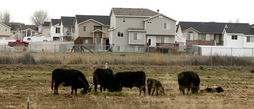 LEAH HOGSTEN  |  The Salt Lake Tribune
The Syracuse City Council favors a plan that would replace Bluff Road, seen here near 2100 South, with a multi-lane highway connecting the Legacy Parkway and Ogden.