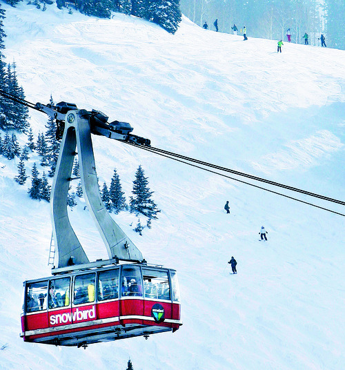 The tram, at Snowbird makes its way up to the mountain  Feb 16, 2010. Tribune file photo