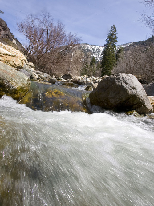 Al Hartmann   |  The Salt Lake Tribune 
Big Cottonwood Creek on Wednesday April 6 is running clear and fairly low at 31 cfs.   Below average temperatures have kept the snowpack intact at higher elevations limiting the runoff into streams above Salt Lake Valley.