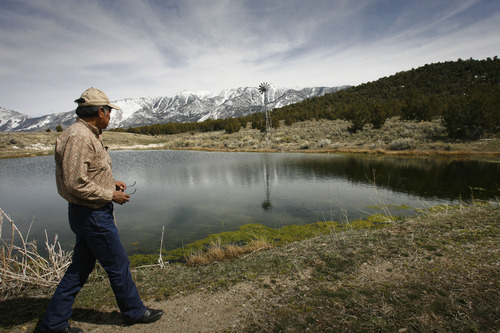 Rick Egan   |  The Salt Lake Tribune

Rupert Steele walks past a small pond formed from natural springs on the Goshute Indian reservation,  Friday, April 1, 2011