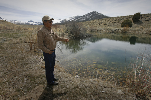 Rick Egan   |  The Salt Lake Tribune

Rupert Steele talks about the importance of water coming from the natural springs on the Goshute Indian reservation,  Friday, April 1, 2011