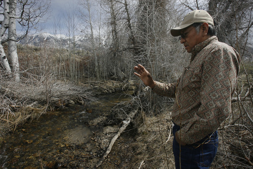 Rick Egan   |  The Salt Lake Tribune

Rupert Steele talks about the importance of water coming from the natural springs on the Goshute Indian reservation,  Friday, April 1, 2011