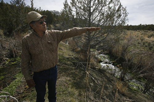 Rick Egan   |  The Salt Lake Tribune

Rupert Steele talks about the importance of water coming from the natural springs on the Goshute Indian reservation,  Friday, April 1, 2011