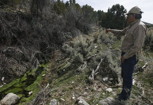 Rick Egan   |  The Salt Lake Tribune

Rupert Steele talks about the importance of water coming from the natural springs on the Goshute Indian reservation,  Friday, April 1, 2011