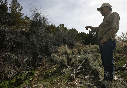 Rick Egan   |  The Salt Lake Tribune

Rupert Steele talks about the importance of water coming from the natural springs on the Goshute Indian reservation,  Friday, April 1, 2011.