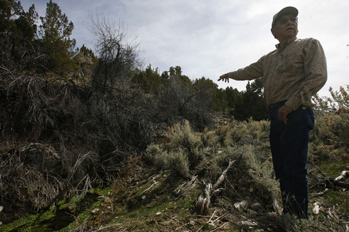 Rick Egan   |  The Salt Lake Tribune

Rupert Steele talks about the importance of water coming from the natural springs on the Goshute Indian reservation,  Friday, April 1, 2011