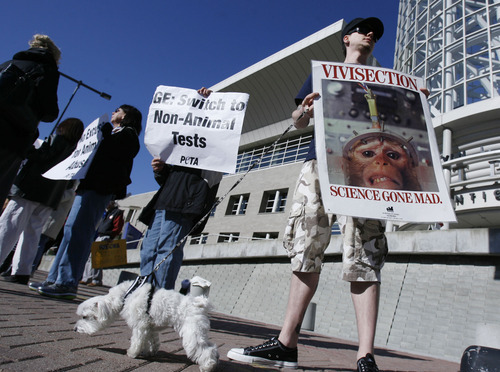 Francisco Kjolseth  |  The Salt Lake Tribune
Jordan Kasteler of Holladay, a member of PETA, alongside his dog Turk, conservative activists and GE retirees protest General Electric's annual shareholders meeting at the Calvin L. Rampton Salt Palace Convention Center in Salt Lake City on Wednesday, April 26, 2011. PETA calls on GE and GE Healthcare to reduce and phase out animal testing while conservative activists oppose General Electric's cap-and-trade energy policies and what they believe is a big government business strategy by GE's CEO Jeff Immelt.