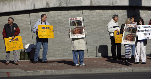 Francisco Kjolseth  |  The Salt Lake Tribune
Members of PETA, conservative activists and GE retirees protest General Electric's annual shareholders meeting at the Calvin L. Rampton Salt Palace Convention Center in Salt Lake City on Wednesday, April 26, 2011.
