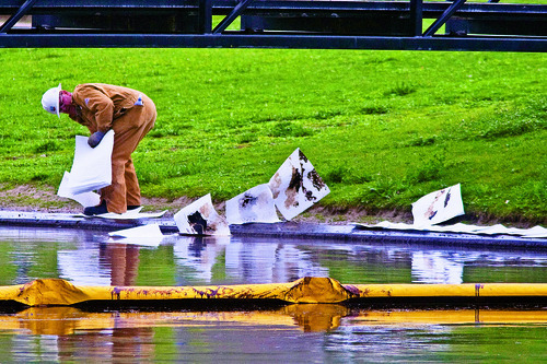 Chris Detrick | The Salt Lake Tribune
A worker put down paper towels around the pond at Liberty Park in the aftermath of the spill last summer.