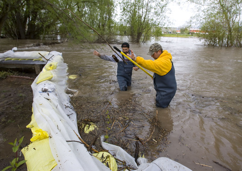 Al Hartmann  |  The Salt Lake Tribune
Jake Bishop, left, and Casey Ringer remove debris along a bend in a sandbag wall Monday morning along the Blacksmith Fork River, protecting homes in Country Manor Estates. Homeowners watched as the Blacksmith Fork River continued to slowly rise.