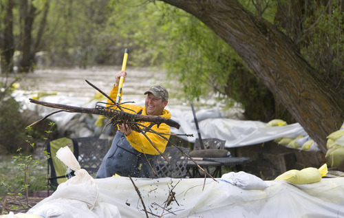 Al Hartmann  |  The Salt Lake Tribune
Casey Ringer removes floating debris Monday that has stacked up against the wall of sandbags along the Blacksmith Fork River that is protecting homes in the Country Manor Estates south of Logan. The residents watched and waited as the river continued to creep higher Monday morning.