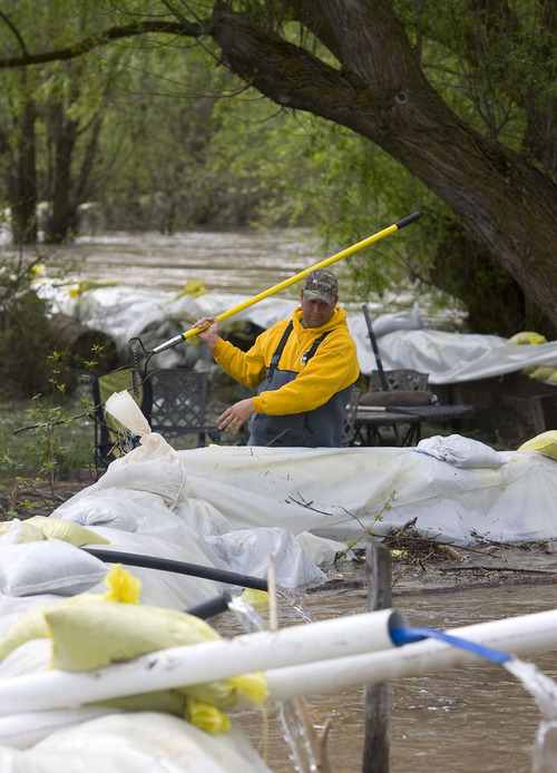 Al Hartmann  |  The Salt Lake Tribune
Casey Ringer removes floating debris Monday that has stacked up against the wall of sandbags along the Blacksmith Fork River that is protecting homes in the Country Manor Estates south of Logan. The residents watched and waited as the river continued to creep higher Monday morning.