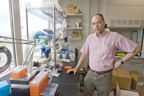 Paul Fraughton  |  The Salt Lake Tribune  
Duane Ruffner, founder and CEO of Symbion Discovery and Sheryl Hohle's partner, is investigating how to synthesize potentially therapeutic compounds based on technology developed by a U. chemist. But after three years of negotiating with the TCO, Ruffner has yet to secure a licensing agreement.