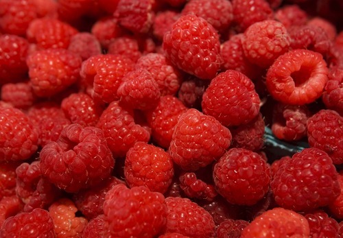 The Bear Lake Valley in northern Utah offers cool nights and warm days, the perfect climate for growing sweet, candy-like raspberries. While everyone loves them plain, few can resist them in the creamy shakes sold in nearby Garden City