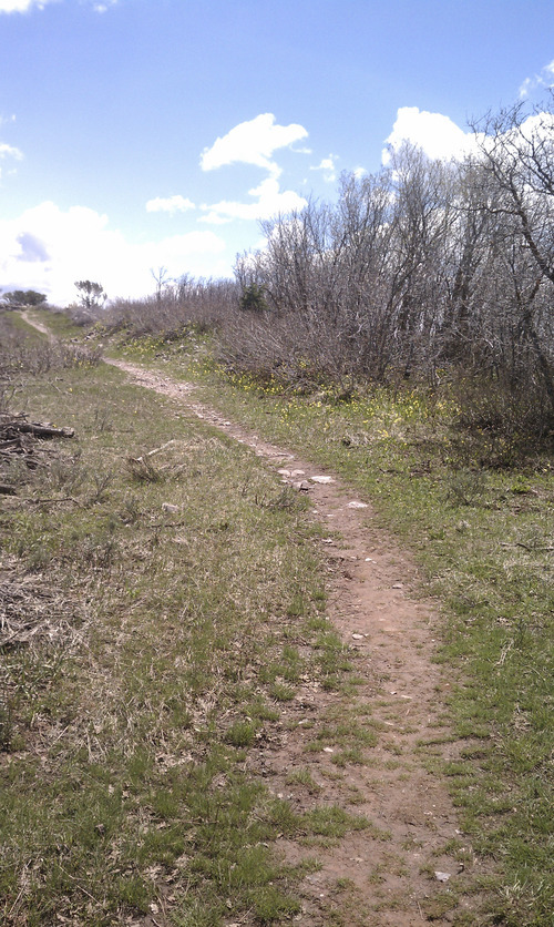 Hike of the Week: Gorgoza Park Peak - The Salt Lake Tribune