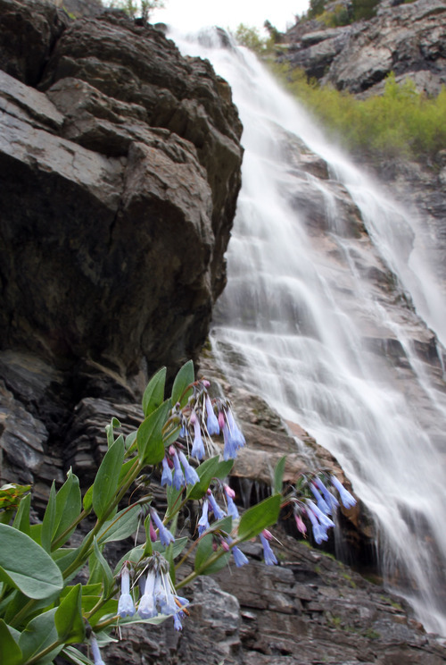 Bridal Veil Falls gets a spring cleaning The Salt Lake Tribune
