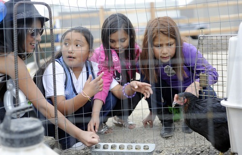 Sarah A. Miller  |  The Salt Lake Tribune

Ida Yanagui, 13, left, Valarie Garza, 9, Nevaeh Padilla, 7, and Brandi Juliana Yanagui, 8, all of Salt Lake City, watch a chicken on display near the community garden at the third annual CommUNITY Fair held at the Sorenson Unity Center in Salt Lake City on Friday. he event celebrated the cultural diversity and unique community of the Glendale and Poplar Grove areas. The event also served as the kick-off for the newly created Unity Gardens, a 24-plot community garden located behind the center.