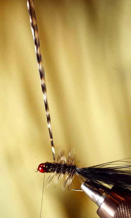 Rooster Feathers, Rooster Saddle Hackles for fly tying