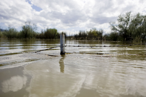 Jeremy Harmon  |  The Salt Lake Tribune
A fence post pokes up through the water as floodwaters rise along the Sevier River Saturday.