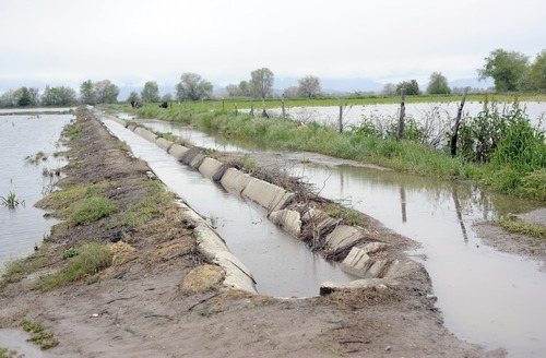 Sarah A. Miller  |  The Salt Lake Tribune

Water floods an alfalfa field in the Taylor Ward west of Ogden Sunday, May 29, 2011. The water will ruin summer crops. Director of Weber County Emergency Management Lance Peterson estimates that 2,000 acres of alfalfa, pasture and cattle range have already been flooded with water from the nearby Weber River.