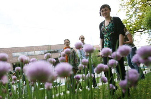 Steve Griffin  |  The Salt Lake Tribune
Cloves blossom in the garden at City Academy in Salt Lake City as students Shivone McMullin, Lorna Fullmer and Phoebe Stokes walk through the garden area outside the school.