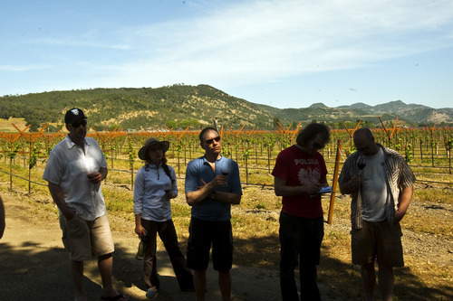 Chris Detrick | The Salt Lake Tribune 
Farm campers learn about Caymus Vineyards in Napa Valley, Calif., on Thursday, May 5, 2011.