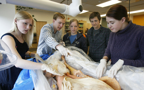 Francisco Kjolseth  |  The Salt Lake Tribune
Westminster College anatomy students Hanna Horrocks, Arthur Eby, Heidi Saxton, Josh Cross and Kaitlyn Porter, from left, identify parts of the human body with one of the class cadavers. Westminster's enrollment picture has changed dramatically, with far more students coming from out of state looking for a traditional liberal arts small-campus experience that happens to be in a large Western city close to great skiing and other outdoor opportunities.