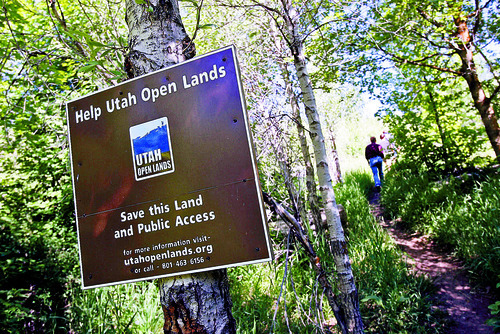 The Salt Lake Tribune file photo

Open-space fans are cheering a new preserve: Killyon Canyon, a 68-acre expanse at the top of Emigration Canyon.