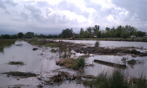Cimaron Neugebauer | The Salt Lake Tribune
A levee along the Weber River in the rural community of Warren breached Thursday morning.