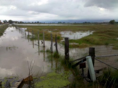 Chris Detrick  |  The Salt Lake Tribune

A field is flooded after a levee break on the Weber River, Thursday June 9, 2011.