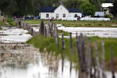 Photo by Chris Detrick | The Salt Lake Tribune 
Water from the Weber River floods near homes in West Warren on Thursday, June 9, 2011.
