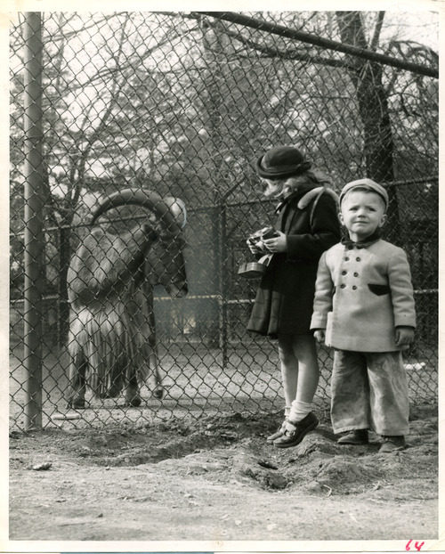 Eileen Sommer, age 4, and Stanley Sommer, age 2, at Liberty Park in 1951. Tribune file photo