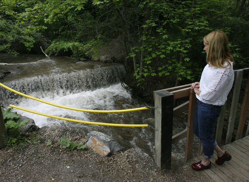 Rick Egan   |  The Salt Lake Tribune
Annie Payne watches Red Butte Creek flow under a bridge below her home on Yalecrest Monday. She says Chevron hasn't done enough to clean up last year's spills. 