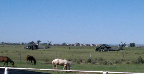 Cimaron Neugebauer | The Salt Lake Tribune

Two Utah National Guard helicopters await mission to ferry half-ton sandbags to crews working to repair a breached Weber River levee near West Warren on Friday.