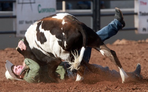 Rick Egan l The Salt Lake Tribune

Baxtor Roche, Bear River, competes in the steer wrestling competition at the Utah High School Rodeo Championship round in Heber City, Saturday, June 10, 2011.