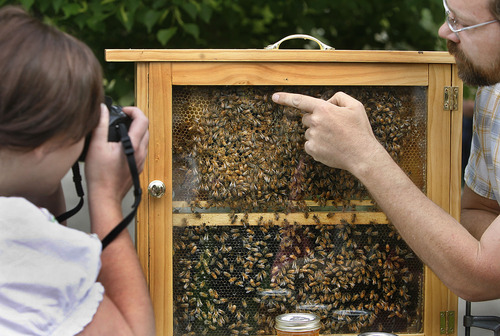 Scott Sommerdorf  |  The Salt Lake Tribune
Chris Rodesch (right) points out the queen bee to a customer taking a photo of his display hive at his Dunbar Farms honey booth at the first Wasatch Front Farmers Market at Wheeler Farm, 6351 S. 900 East, in Salt Lake City, Sunday, June 12, 2011.