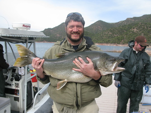 Salt Lake Tribune outdoors writer Brett Prettyman with a 29-pound lake trout caught in a shore net placed by Utah Division of Wildlife Resources biologists at Flaming Gorge Reservoir in May. The fish was uninjured and released alive.