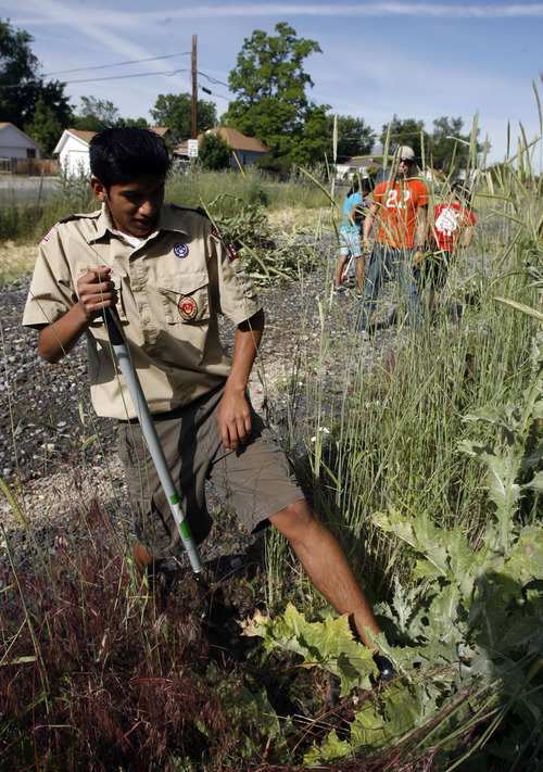 Francisco Kjolseth  |  The Salt Lake Tribune
Howard Saavedra, working on his Eagle Scout service project, organized about 200 people for a clean-up at the old Union Pacific rail 900 South corridor. The city plans to turn the corridor into a bike path and park. The clean up began at Park View Elementary on Saturday, June 18, 2011.