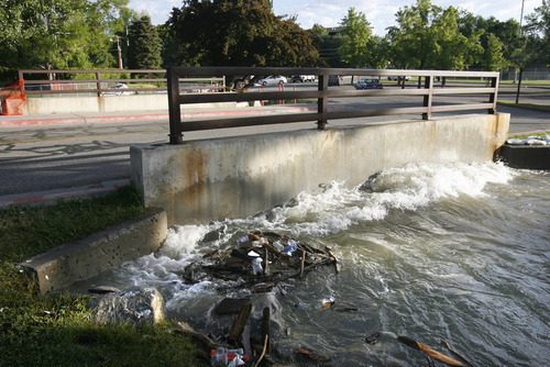 Rick Egan   |  The Salt Lake Tribune
Debris is caught in the swirling Little Cottonwood Creek in Murray Park Thursday.